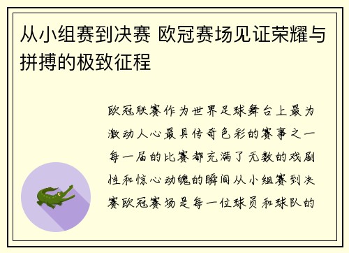从小组赛到决赛 欧冠赛场见证荣耀与拼搏的极致征程