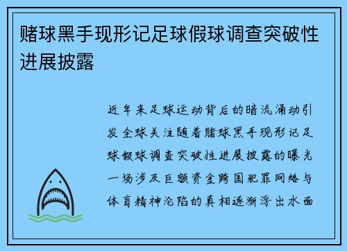 赌球黑手现形记足球假球调查突破性进展披露